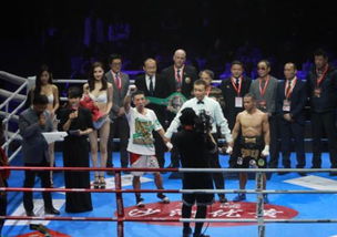 蘇州拳壇激情綻放 向靜成功衛(wèi)冕，中國(guó)職業(yè)拳擊新年啟航