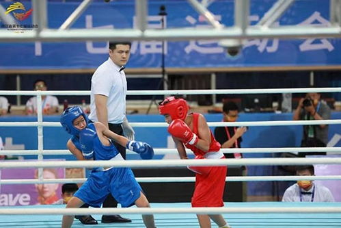浙江省運(yùn)動(dòng)會(huì)拳擊比賽圓滿落幕，拳擊運(yùn)動(dòng)賽事組織再上新臺(tái)階