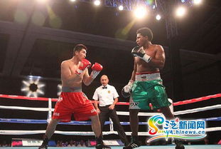 2015世界拳擊聯(lián)賽三亞落幕 中國龍不敵墨西哥勇士，拳擊賽事組織迎發(fā)展契機